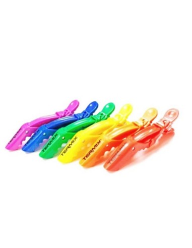 Pinces pour Cheveux Termix Pride Arc-en-ciel (6 uds)