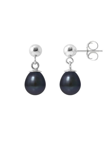 PERLINEA- Boucles d'Oreilles- Perles de Culture d'Eau Douce- Diamètre 6-7  mm  Black Tahiti- Bijou Femme