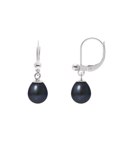 PERLINEA- Boucles d'Oreilles- Perles de Culture d'Eau Douce- Diamètre 7-8 mm Black Tahiti- Bijou Femme