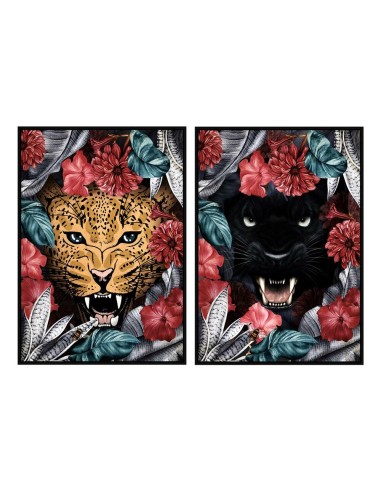 Cadre DKD Home Decor (2 pcs) (53 x 4.3 x 73 cm)