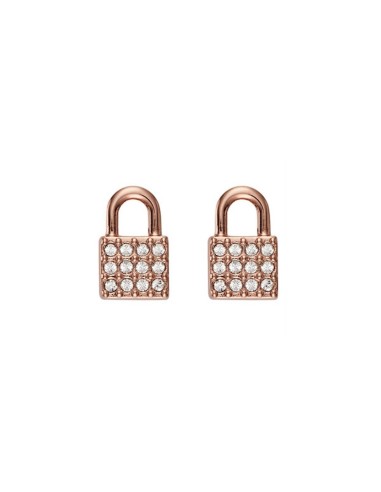 Boucles d´oreilles Femme DKNY 5520121 1 cm