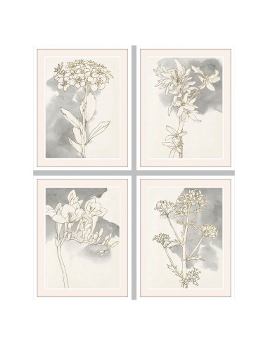 Cadre DKD Home Decor Fleurs (55 x 2.5 x 70 cm) (4 pcs)