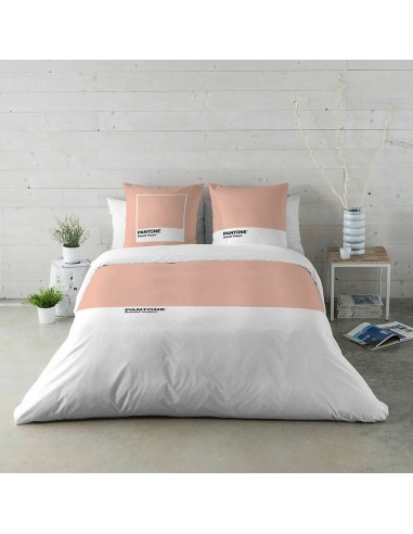 Housse de Couette Pantone Sweet Peach Gran lit 2 persones (240 x 220 cm)