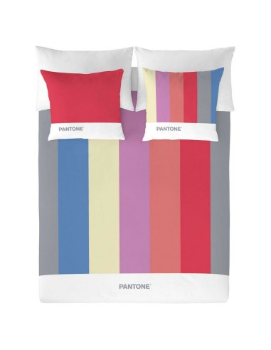 Housse de Couette Pantone Stripes Gran lit 2 persones (240 x 220 cm)