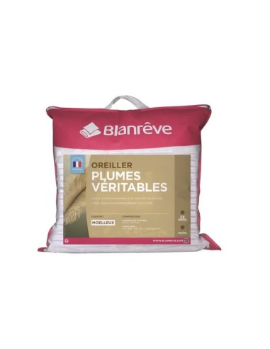 BLANREVE Oreiller Plumes 60x60 cm blanc