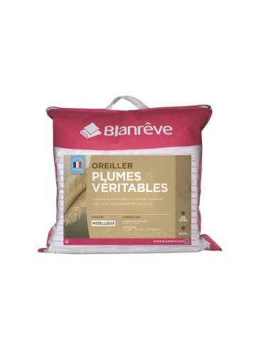 BLANREVE Lot de 2 oreillers Plumes - 60x60 cm