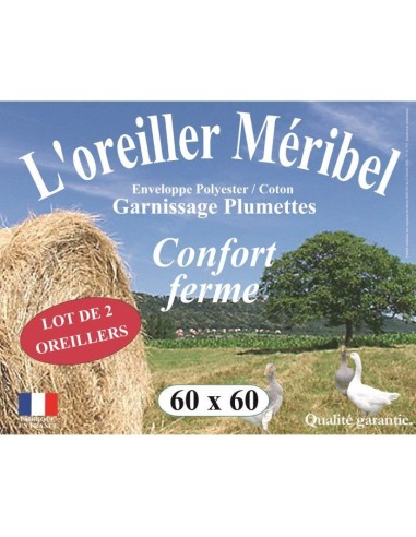 DODO Lot de 2 Oreillers MERIBEL Plumettes 60x60cm