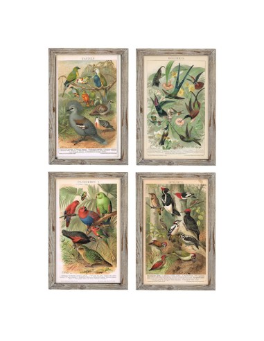 Cadre DKD Home Decor Oiseaux (45 x 2 x 65 cm) (4 pcs)