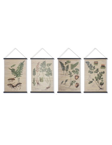 Toile DKD Home Decor Plantes botaniques (4 pcs) (60 x 2 x 90 cm)