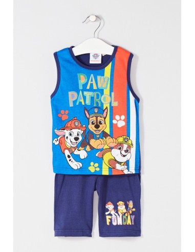 Ensemble paw patrol