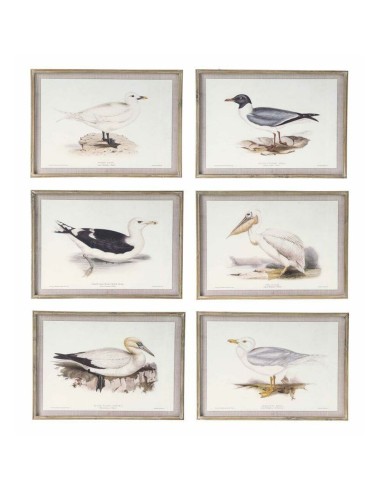 Cadre DKD Home Decor Oiseaux (70 x 2,5 x 50 cm) (6 Unités)