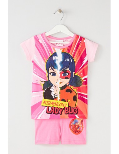 Ensemble ladybug