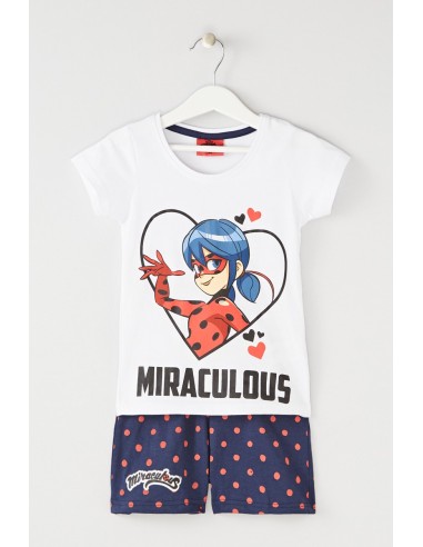 Ensemble ladybug