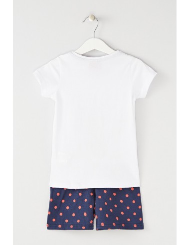 Ensemble ladybug