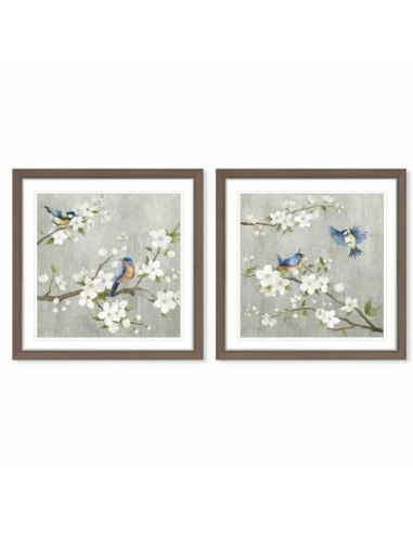 Toile DKD Home Decor 63 x 3 x 63 cm 60 x 3 x 60 cm Oiseaux Shabby Chic (2 Unités)